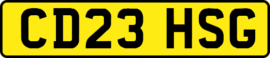 CD23HSG
