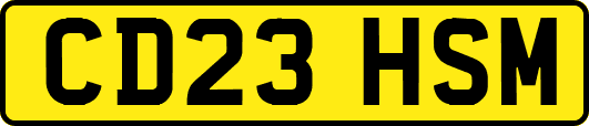 CD23HSM