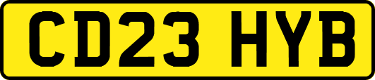 CD23HYB