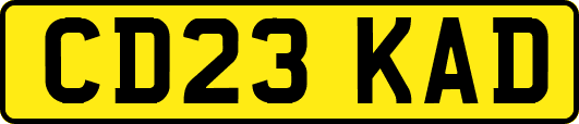 CD23KAD