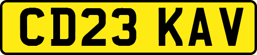 CD23KAV