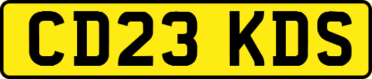 CD23KDS