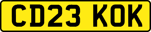 CD23KOK