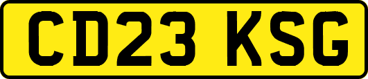 CD23KSG