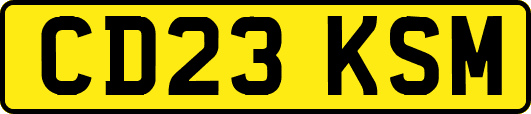 CD23KSM