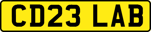 CD23LAB