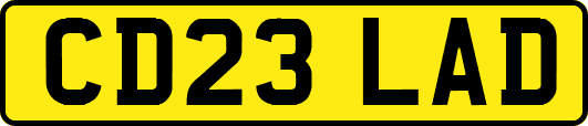 CD23LAD