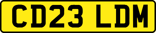 CD23LDM