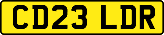 CD23LDR