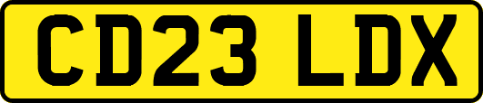 CD23LDX