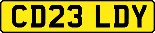 CD23LDY