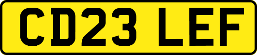 CD23LEF