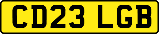 CD23LGB