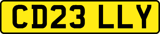 CD23LLY