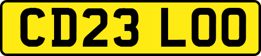 CD23LOO