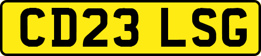 CD23LSG