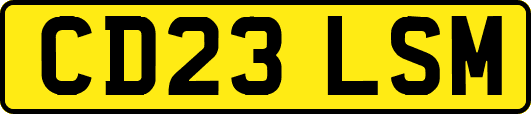 CD23LSM