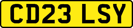 CD23LSY