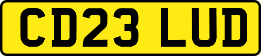 CD23LUD