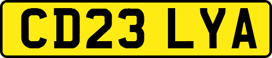 CD23LYA