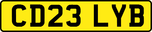 CD23LYB