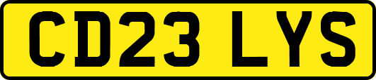 CD23LYS