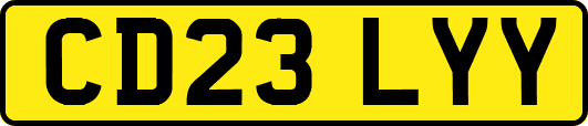 CD23LYY