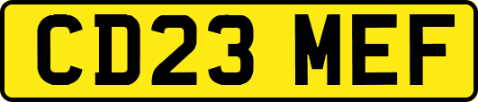 CD23MEF