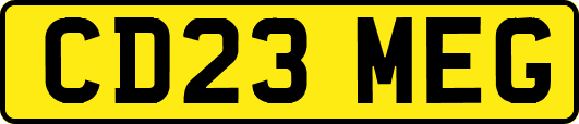 CD23MEG