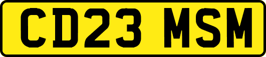 CD23MSM