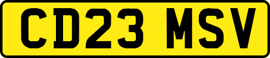 CD23MSV
