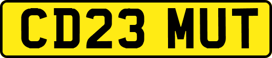 CD23MUT