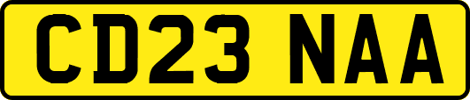 CD23NAA