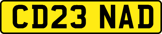 CD23NAD