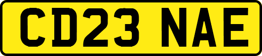 CD23NAE