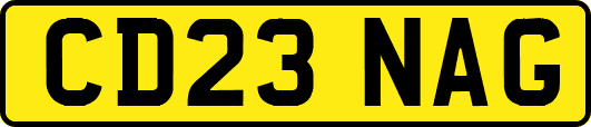 CD23NAG