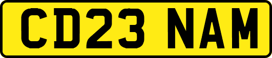 CD23NAM