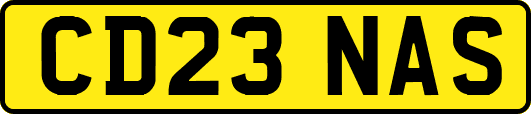 CD23NAS