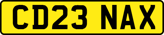 CD23NAX