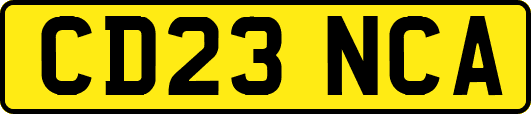 CD23NCA
