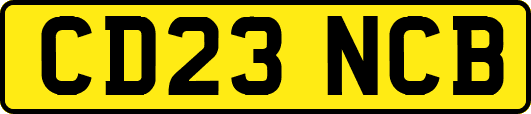 CD23NCB