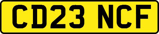 CD23NCF