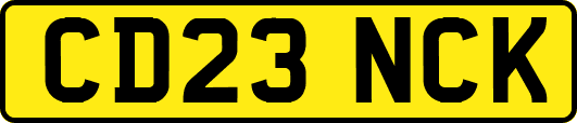 CD23NCK