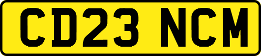 CD23NCM