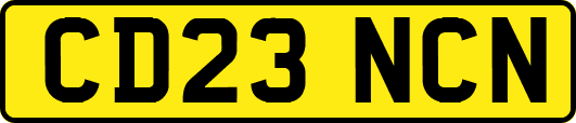 CD23NCN