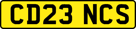 CD23NCS
