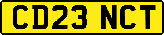 CD23NCT