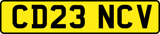 CD23NCV
