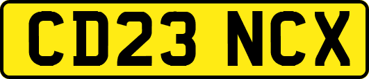 CD23NCX
