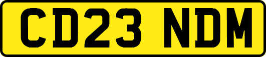 CD23NDM